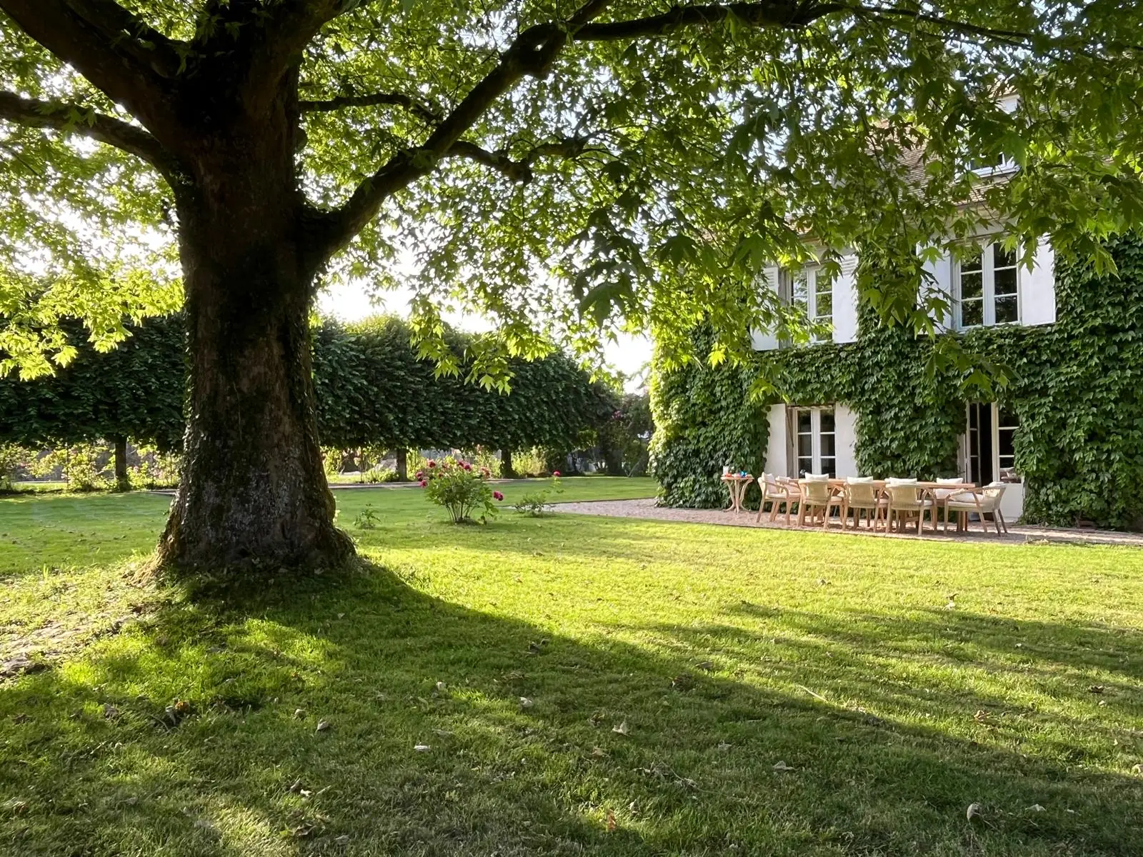 La Maison Principale sous l'érable centenaire, jardin du Prieuré Saint-Bû